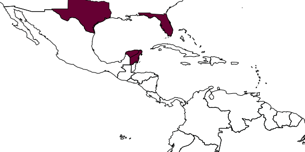 map of Bakeriella mira     Evans, 1997